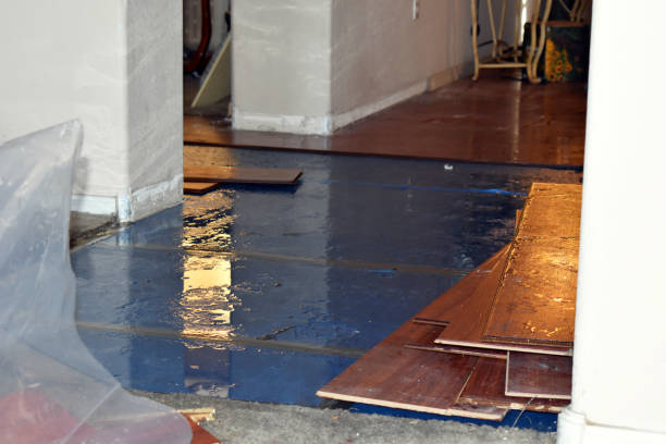 Professional Burst Pipe Cleanup technician working in Harrington Park, NJ
